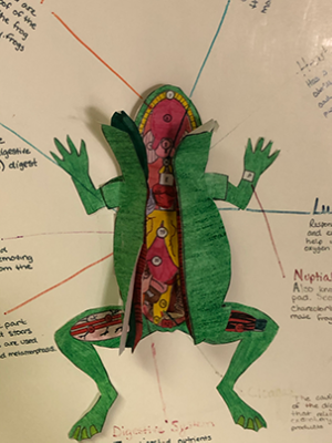 Experimental Design400h